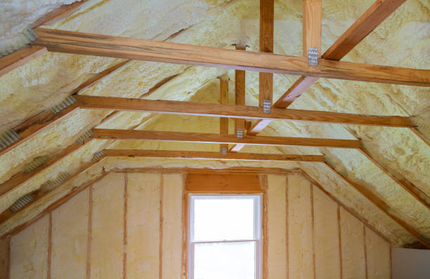 Best Types of Insulation in Meridian, CO