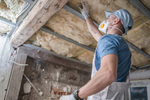 Best Insulation for Specific Applications in Meridian, CO