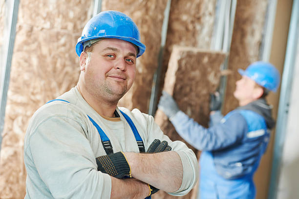Best Insulation Installation Services in Meridian, CO
